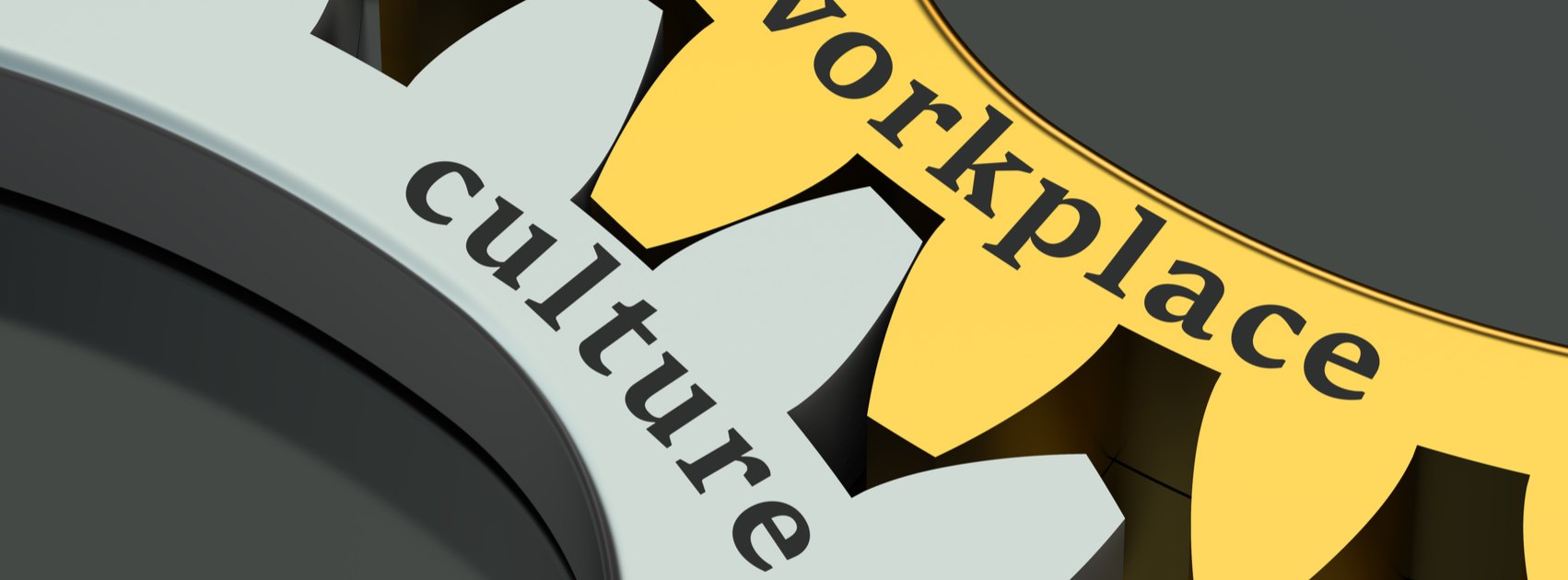 How Business Management Software Shapes Workplace Culture