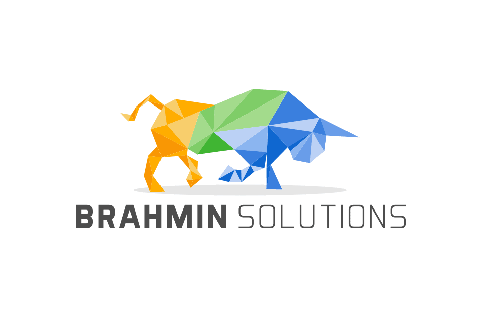 brahmin solutions erp