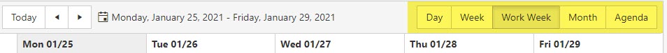 Calendar View options including Day, week, work week, month, and agenda