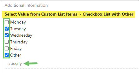 Checkbox List with Other Display Type for the Select Value from Custom List Items Custom Field