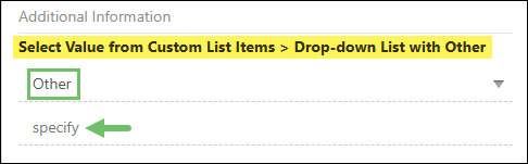 Drop-down List with Other Display Type for the Select Value from Custom List Items Custom Field