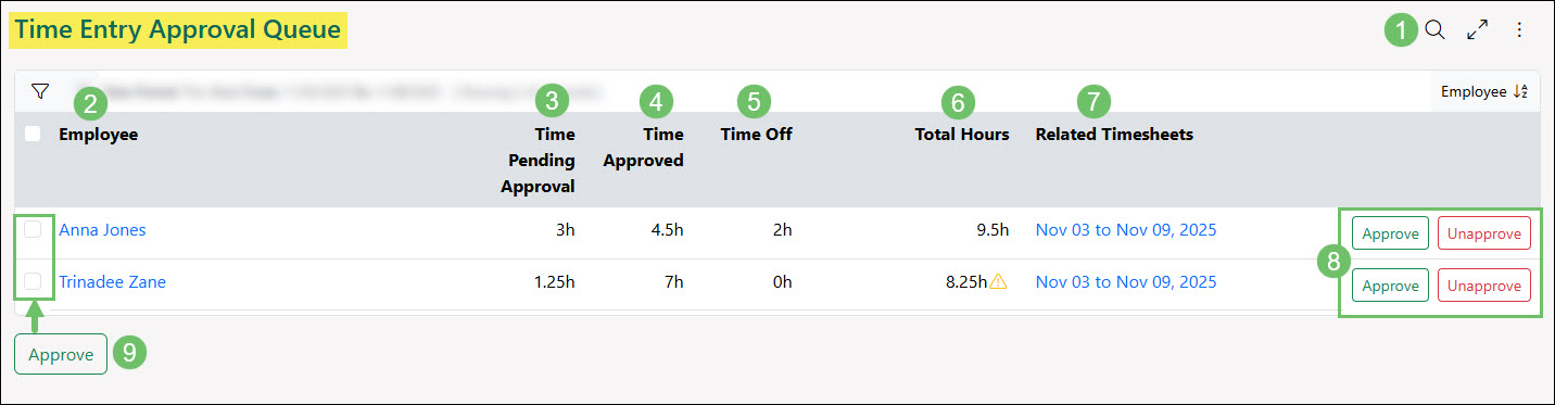 Actions and Information Available from the Time Entry Approval Queue