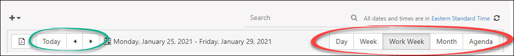 Calendar View Options