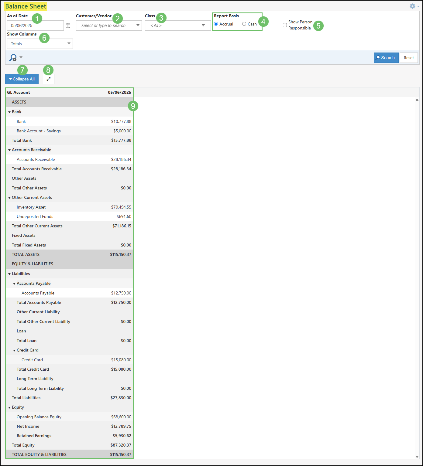 The Balance Sheet in Striven with the available columns and filters.