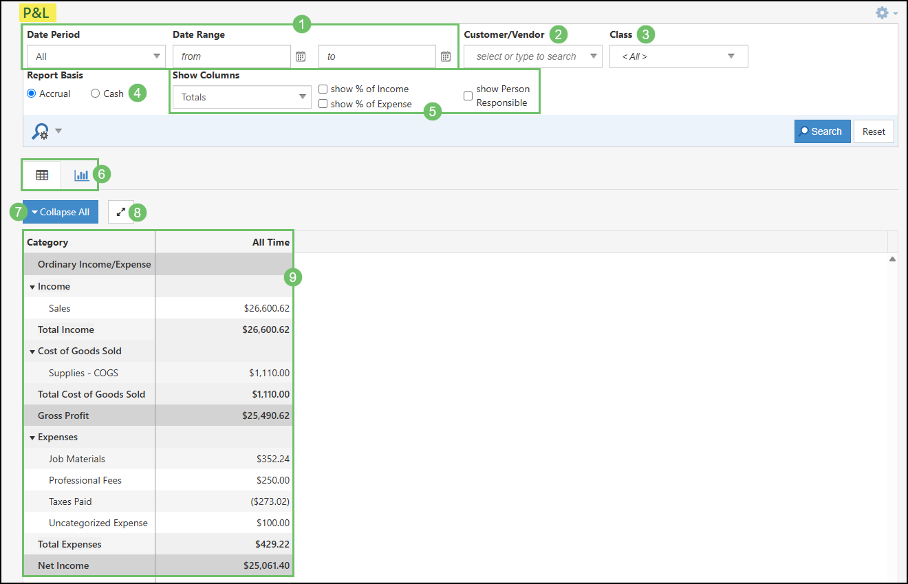 The Columns and Filters on the P&L Report that are available when running the report.