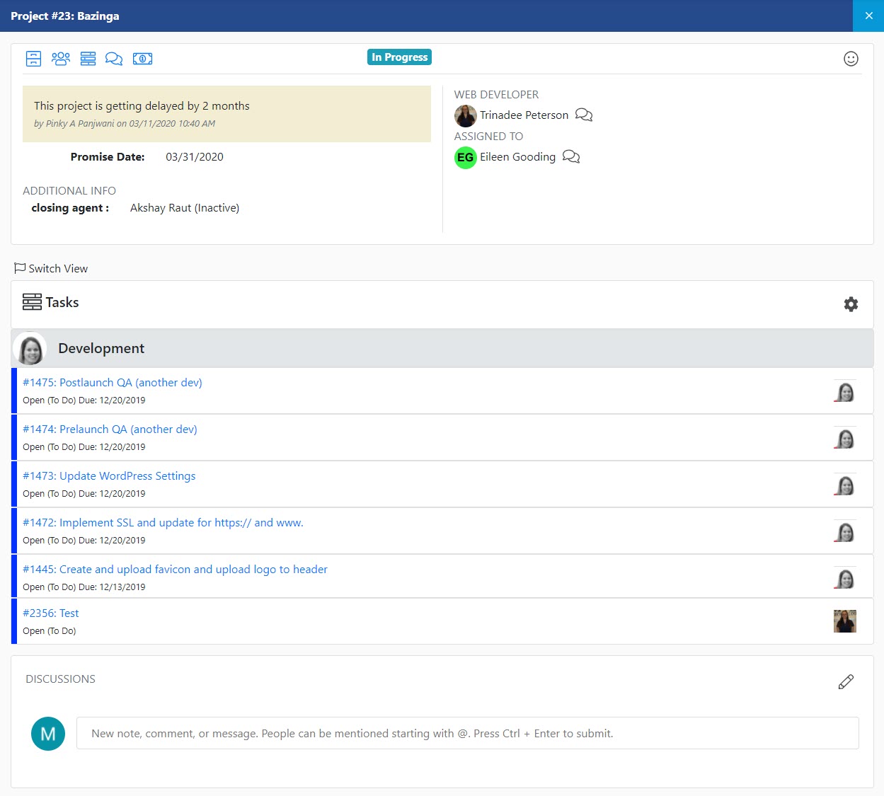 Customer portal project view including Status, web developer, assginee, promise date, tasks and discussions