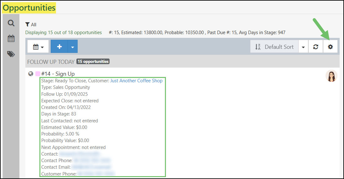 Opportunities List with all the Display Options turned on.