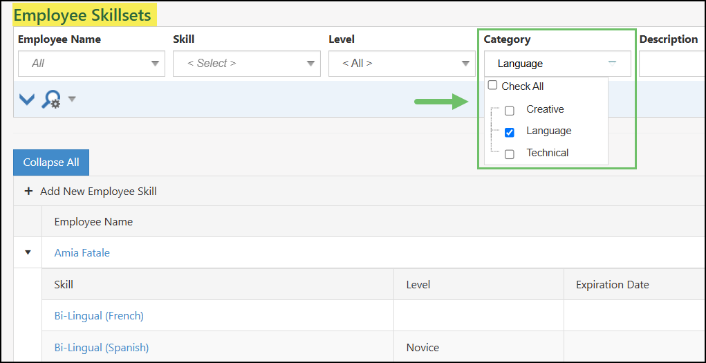 Employees Skillsets List which is being filtered by the Category for Language