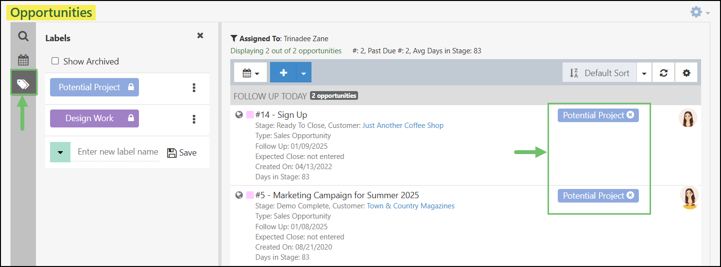 Opportunities Labels tab expanded to create new labels for opportunities.