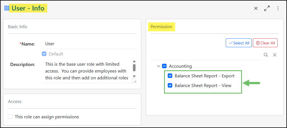 The permissions related to the Balance Sheet in a User Role.
