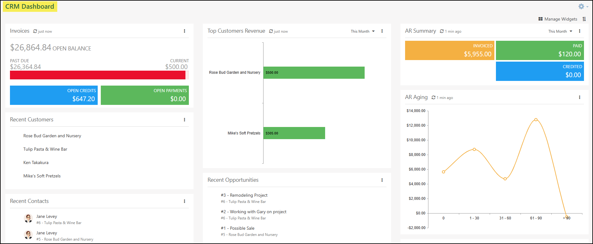 The CRM Dashboard
