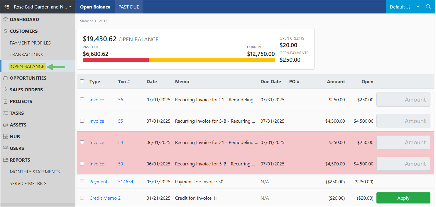 The Location of the Open Balance Page in the Customer Portal
