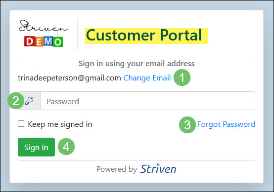 The Password Entry Page for the Customer Portal