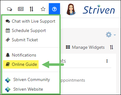 Striven Help menu highlighting the Online Guides option