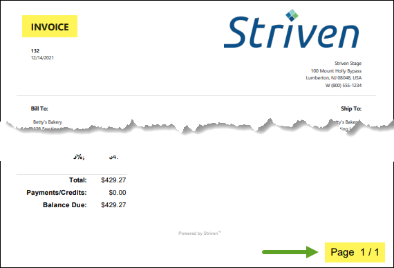 Invoice Printable format - page numbers