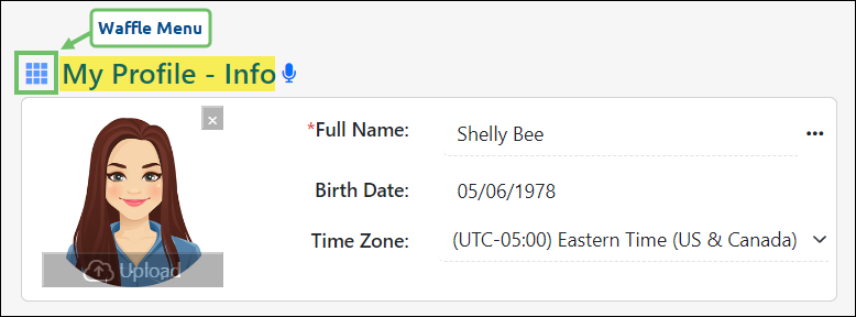 Image of the My Profile - Info page highlighting the waffle navigational menu icon