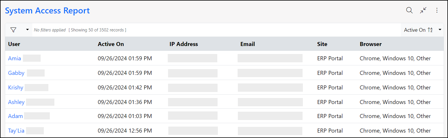 Example of the System Access Report