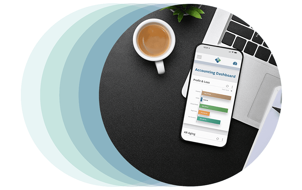 Striven dashboard on cellphone with profit & loss widget