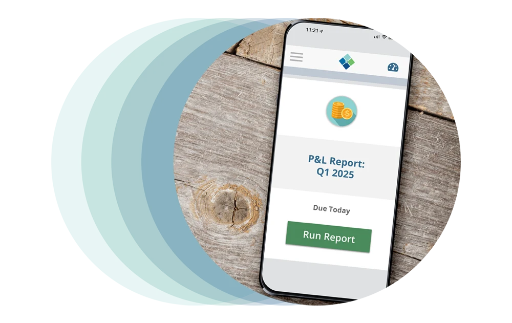 striven reporting functionality