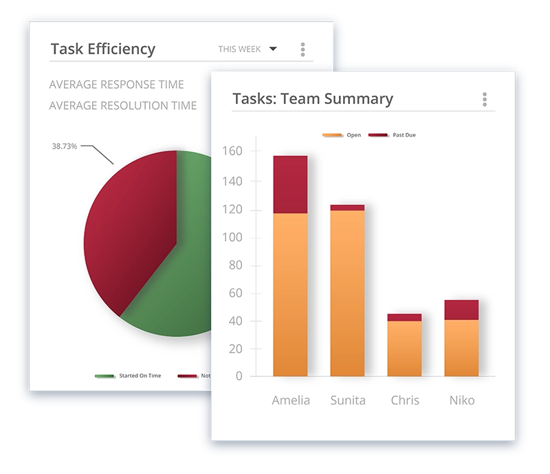 Tasks & Team Summary, Striven Efficiency Reporting